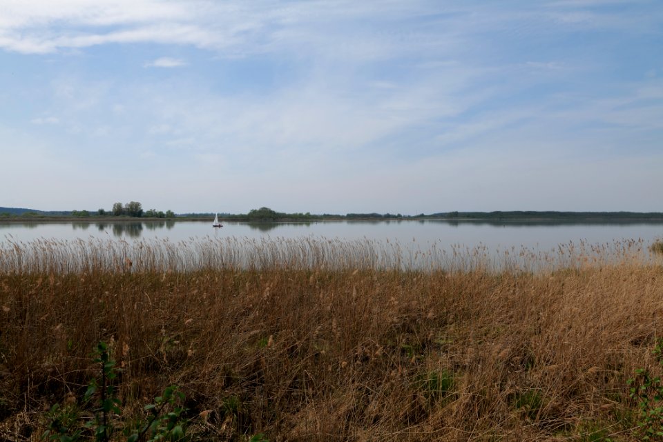 Rangsdorfer See 2021-05-11 10