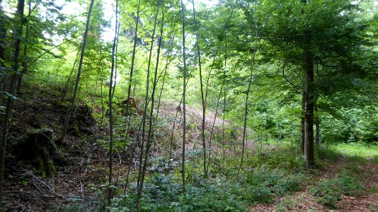 Raperswilen Schanz