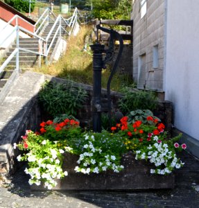 Ramschied, Brunnen