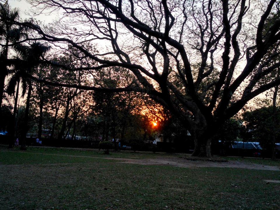 Ramna Park 