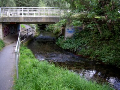 Rase-bei-Rosdorf-05
