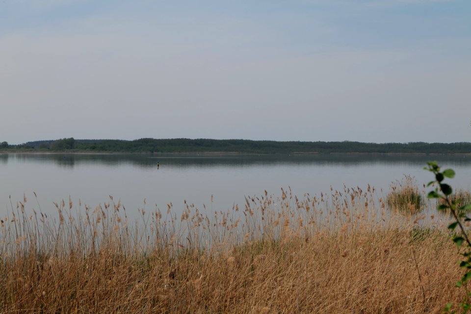 Rangsdorfer See 2021-05-11 11