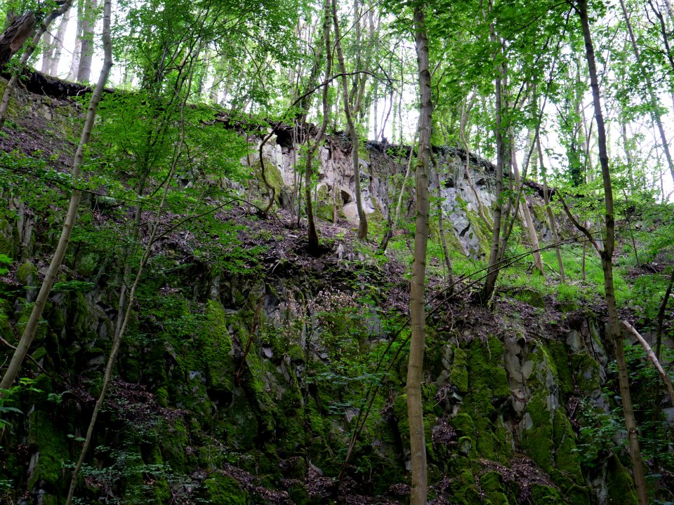 Rauschenberg Fulda 2019-07-14 75