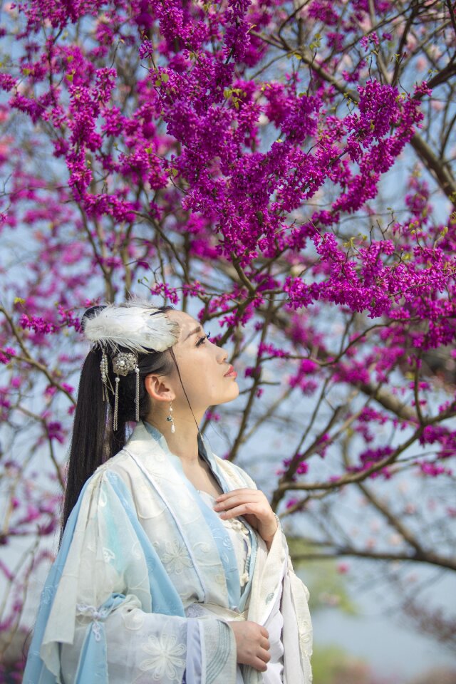 Sansei iii ten miles of peach blossoms late stage