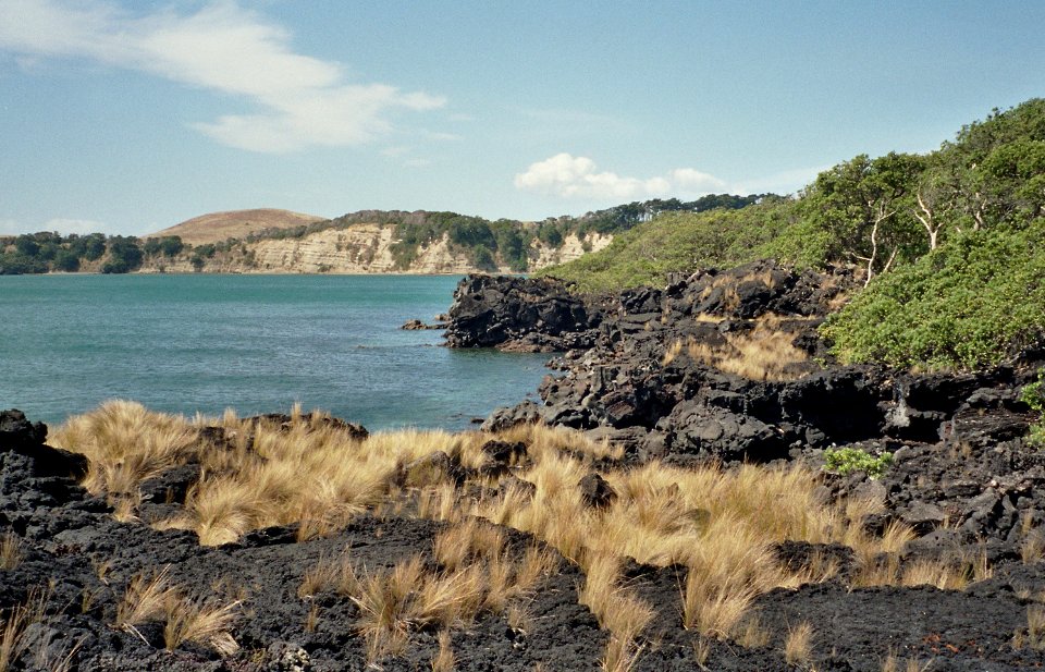 RangitotoMotutapu