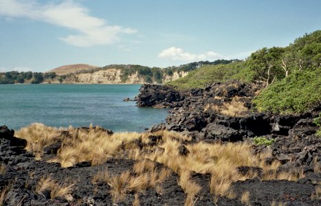 RangitotoMotutapu