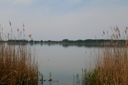 Rangsdorfer See 2021-05-11 03