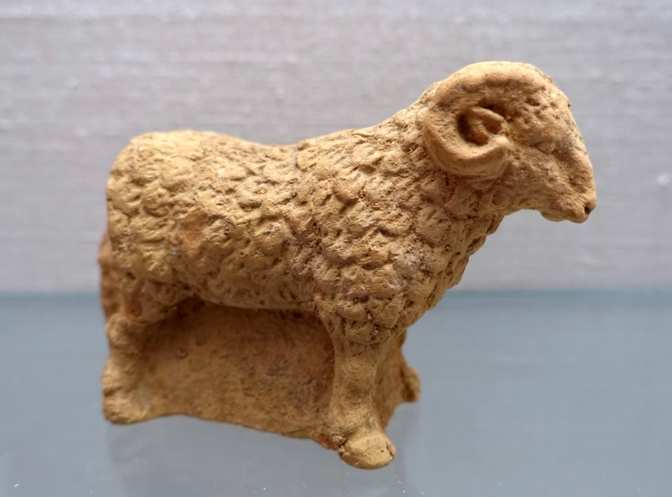 Ram, Boetia, 4th century BC, HA 861 - Martin von Wagner Museum - Würzburg, Germany - DSC05751