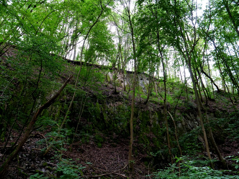 Rauschenberg Fulda 2019-07-14 68