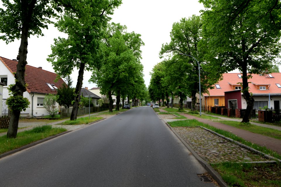 Ravensbrücker Dorfstraße Fürstenberg Havel 2021-05-29 01