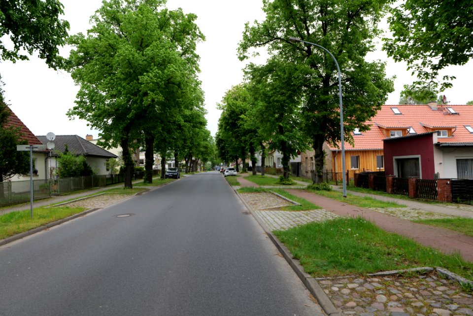 Ravensbrücker Dorfstraße Fürstenberg Havel 2021-05-29 02