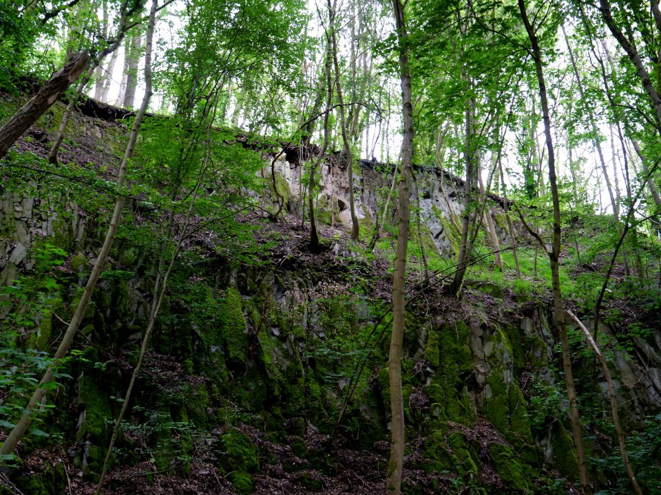 Rauschenberg Fulda 2019-07-14 77