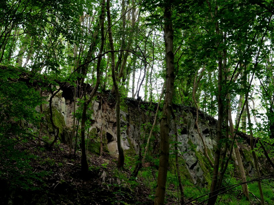 Rauschenberg Fulda 2019-07-14 71
