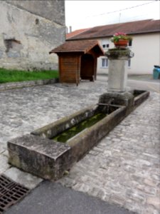 Raville-sur-Sânon (M-et-M) fontaine