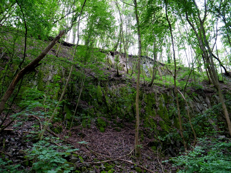 Rauschenberg Fulda 2019-07-14 76