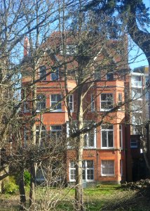 Rear Elevation of Houses on The Drive, Hove (February 2018)