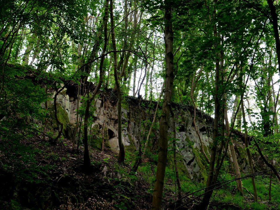 Rauschenberg Fulda 2019-07-14 73