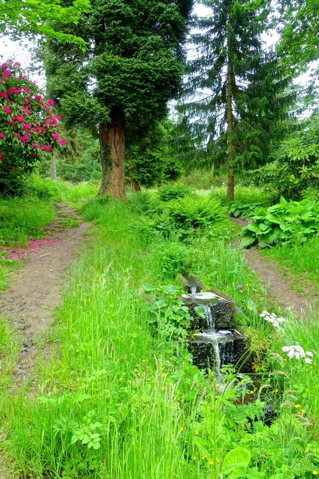 Ravine path and trough waterfall - Chatsworth House - Derbyshire, England - DSC03609