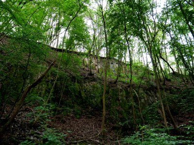 Rauschenberg Fulda 2019-07-14 66