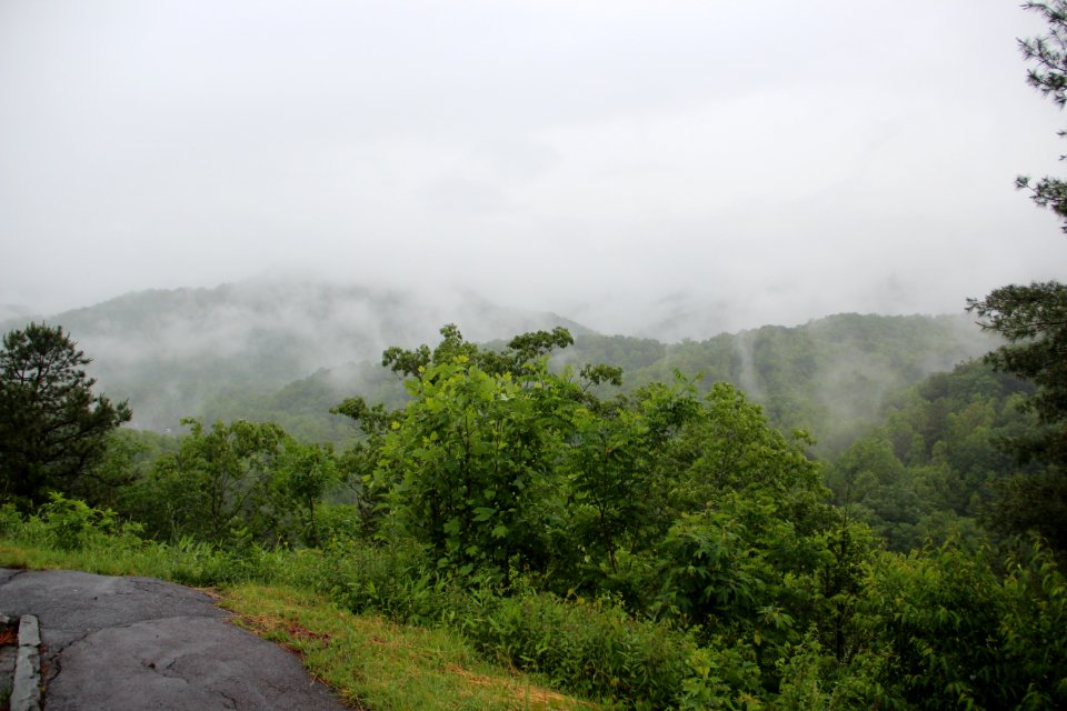 Raven Fork overlook in rain, May 2017