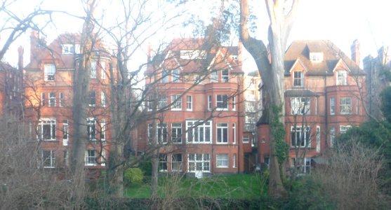 Rear Elevation of Houses on The Drive, Hove (January 2020)