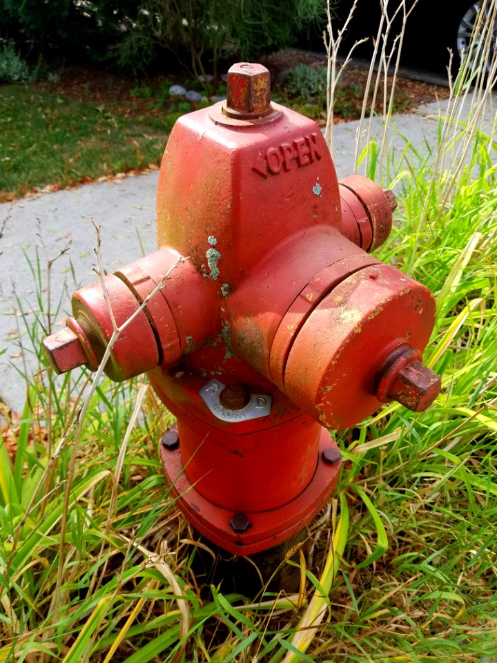 RD Replaced Watrous fire hydrant - Arlington, MA - 20200802 085752