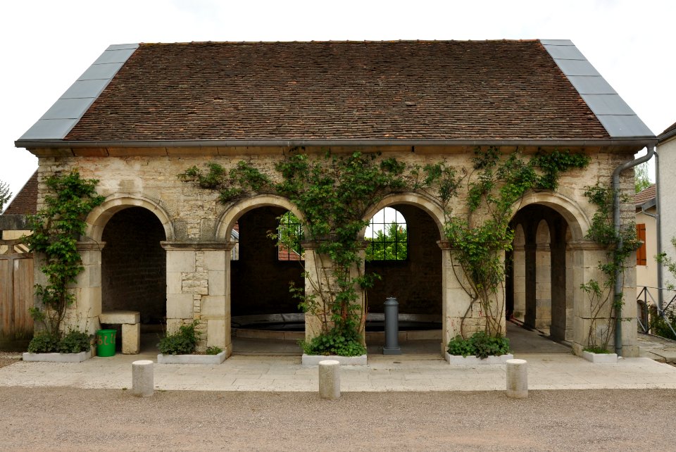 Ray-sur-Saône Lavoir 26042009 3