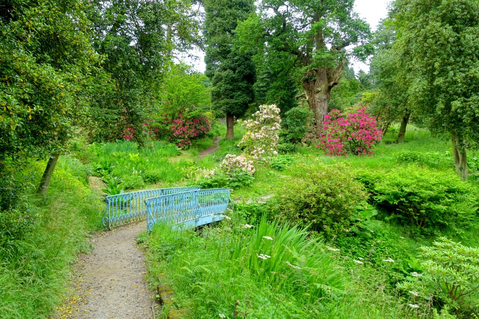 Ravine path - Chatsworth House - Derbyshire, England - DSC03602