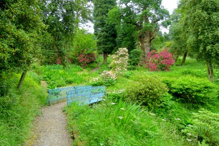 Ravine path - Chatsworth House - Derbyshire, England - DSC03602