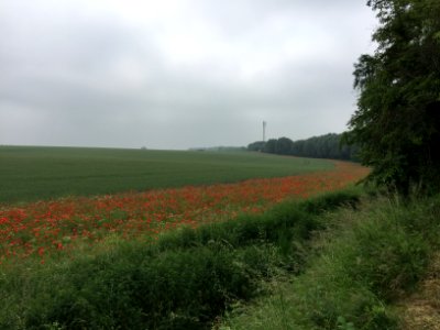 RAVeL - L142 - Namur-Tirlemont