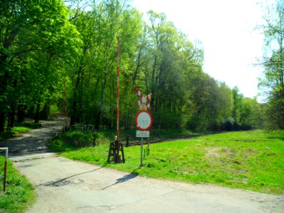 Ratibor Stadtwald 3