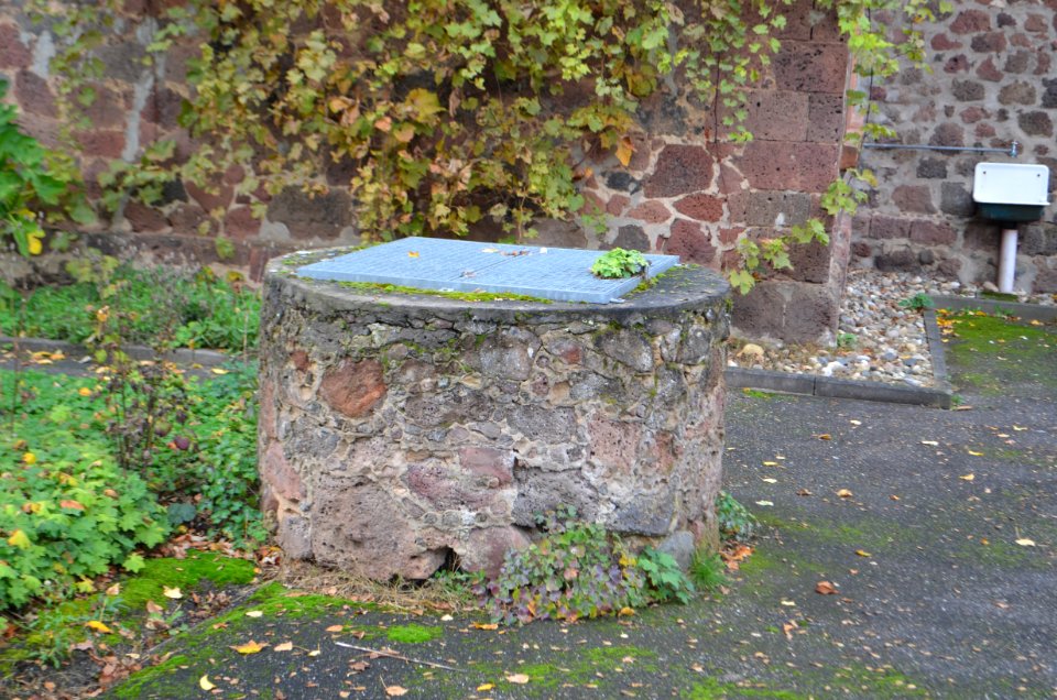 Ravolzhausen, Hohensteinstraße 7, Brunnen