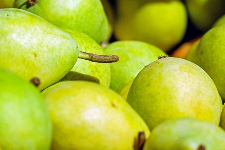 Ripe harvest food
