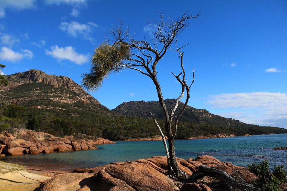 Idyll australia freycinet national park