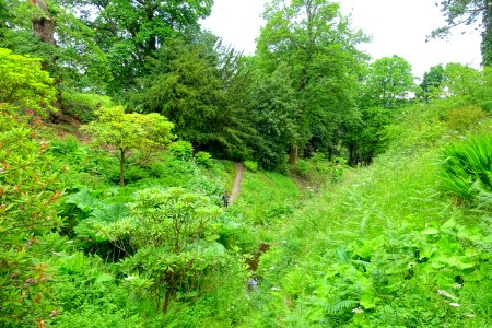 Ravine path - Chatsworth House - Derbyshire, England -