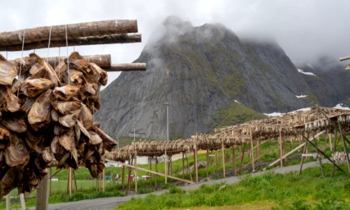 RB 20180620 Reine Lofoten-37