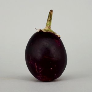 Ratna eggplant 2017 C1