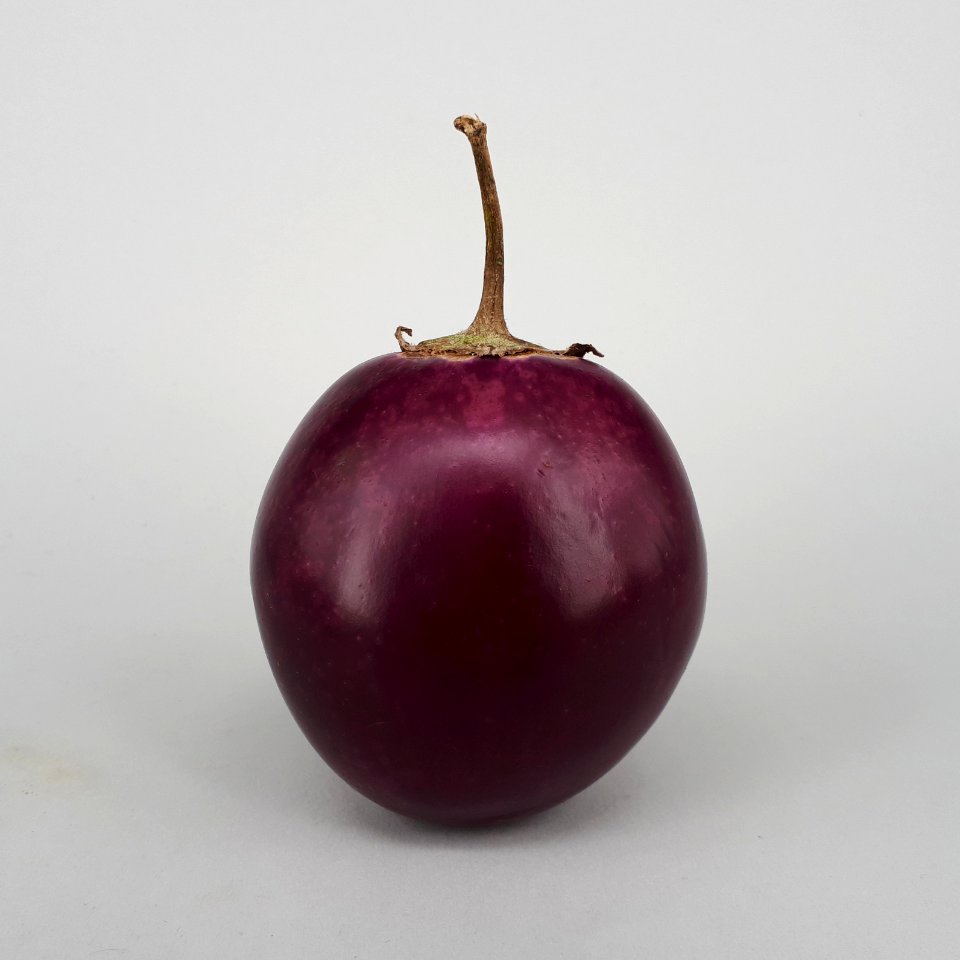 Ratna eggplant 2017 B1