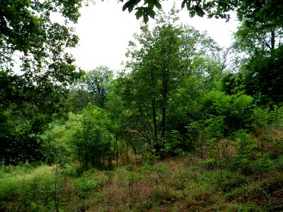 Rauschenberg Fulda 2019-07-14 45