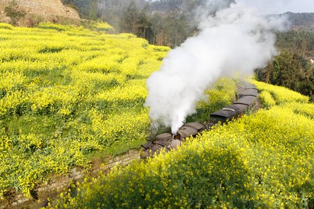 Train landscape rape