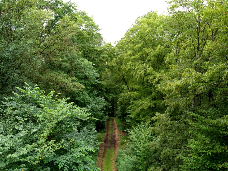 Rauschenberg Fulda 2019-07-14 41