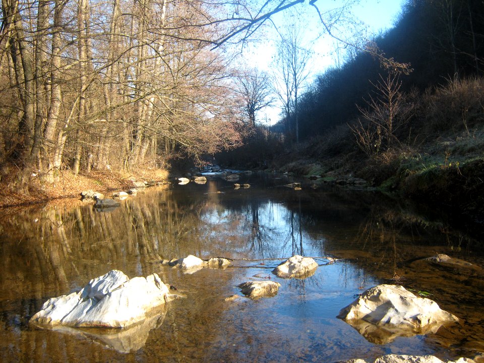 Reka Dičina 1