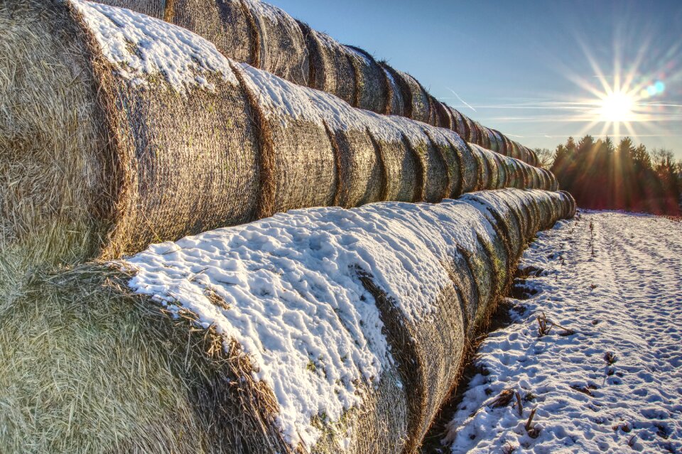 Snow winter round bales