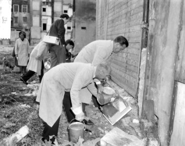 Rattenbestrijding in Amsterdam, het uitstrooien van het rattengif, Bestanddeelnr 917-9866