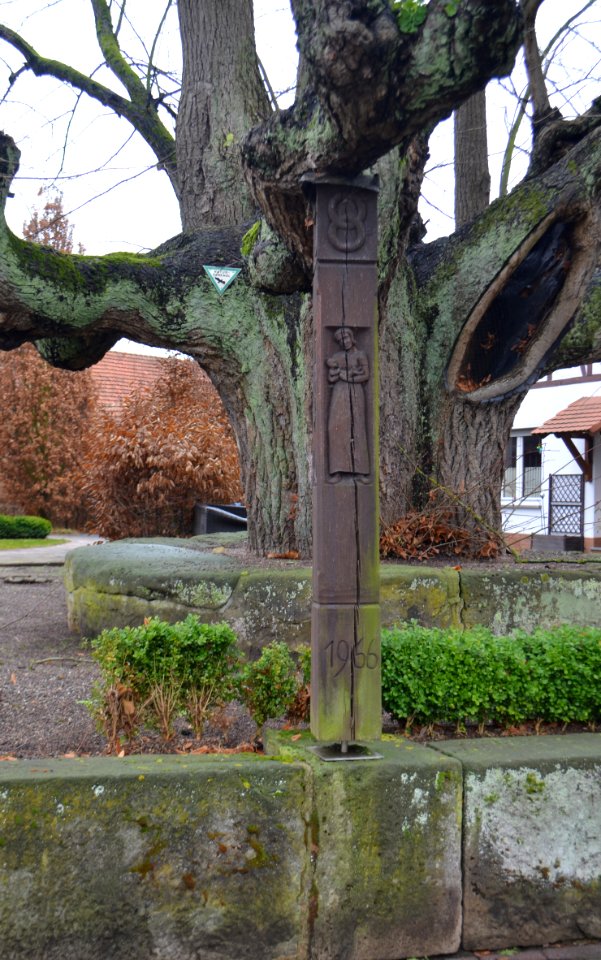 Ransbach (Hohenroda), Linde