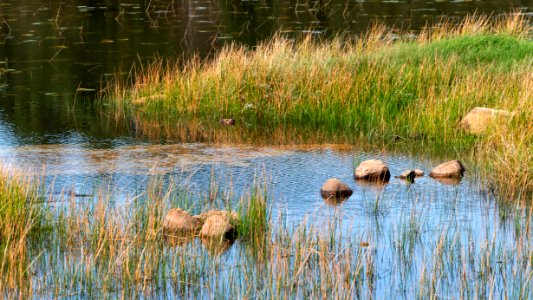 Rejdemyr lake in Kolleröd 2 photo