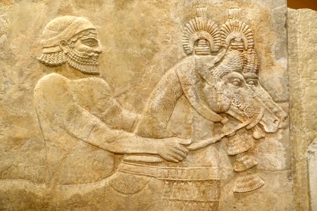 Relief A, section 1 of 3 detail - Palace of Sargon II, Khorsabad - Oriental Institute Museum, University of Chicago - DSC07514