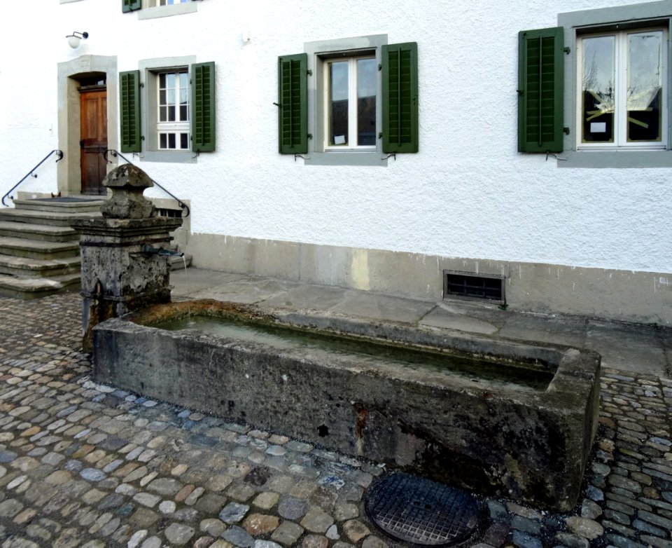 ReinachGautschihausBrunnen1