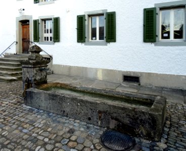 ReinachGautschihausBrunnen1