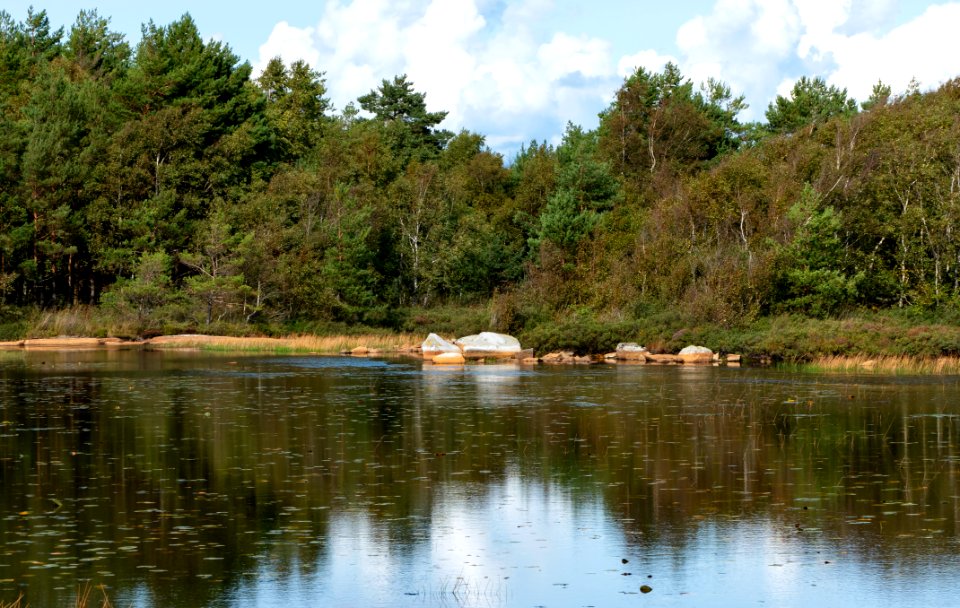 Rejdemyr lake in Kolleröd 3